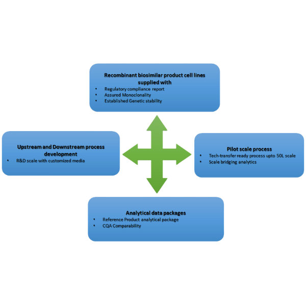 Modular Biosimilars Development Services Biocognate